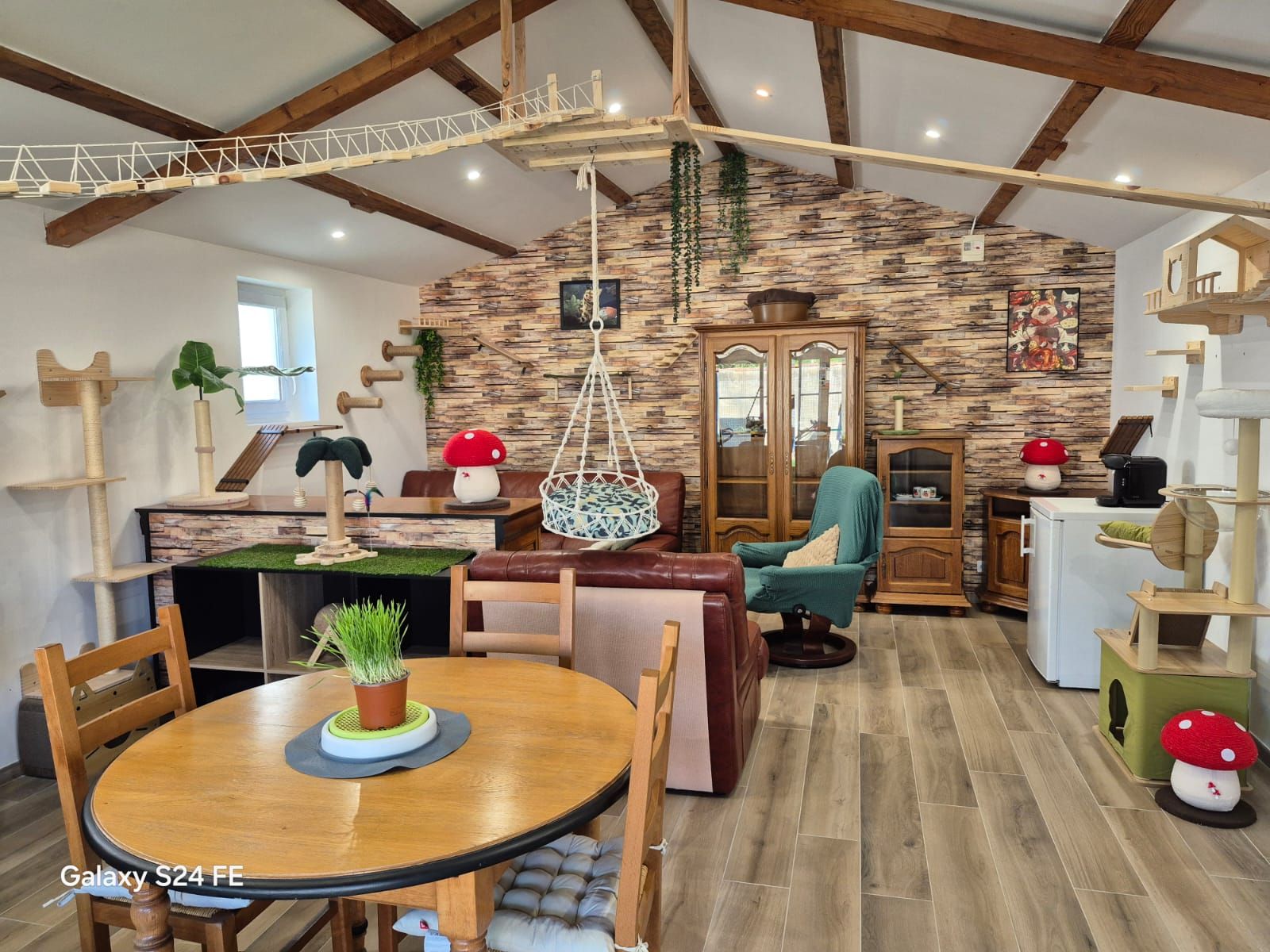 heros-img 511012927 122101286672919200 2071220217335482274 N 1