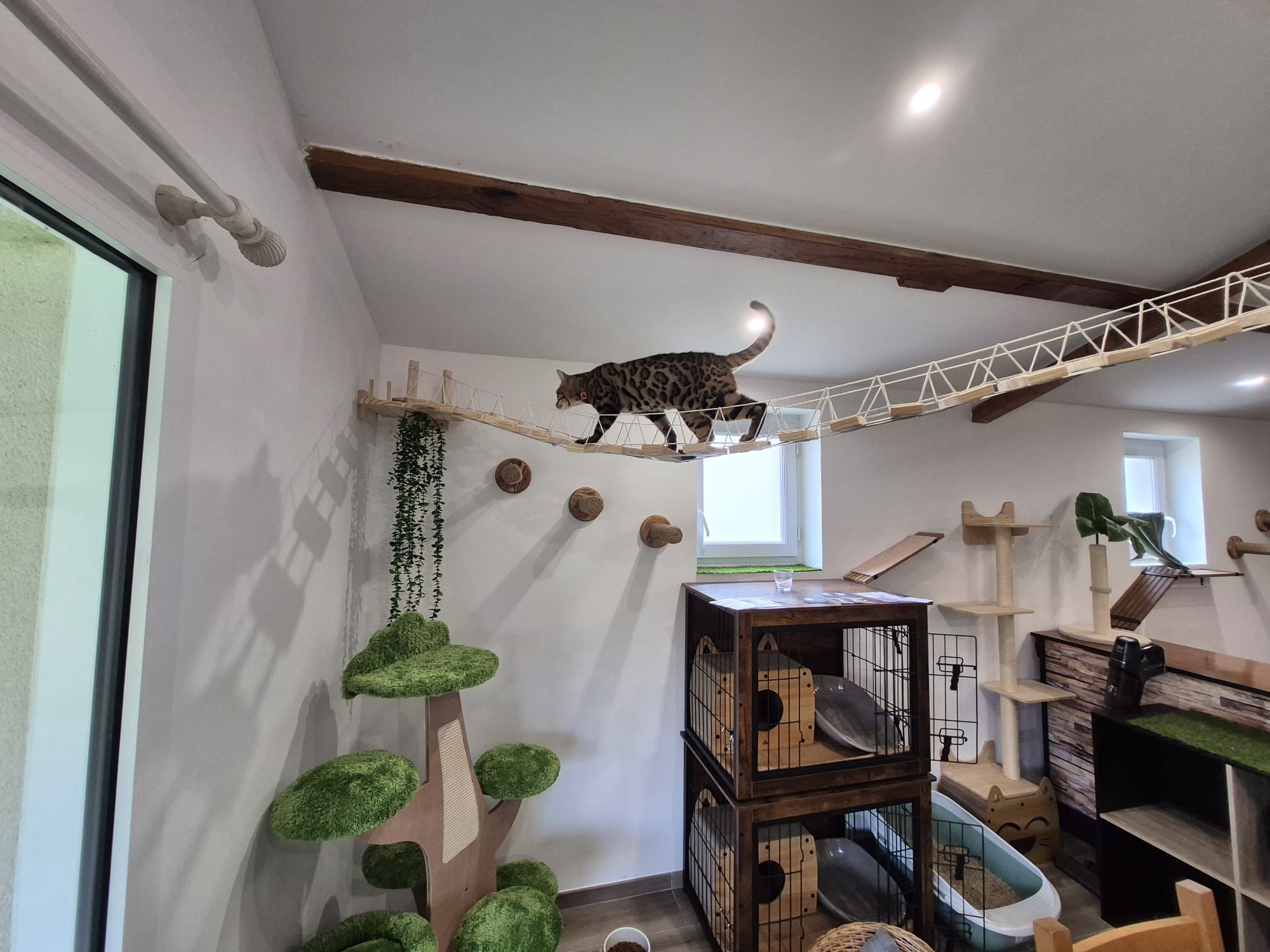 555575965 122135096828919200 2875117447113465883 N