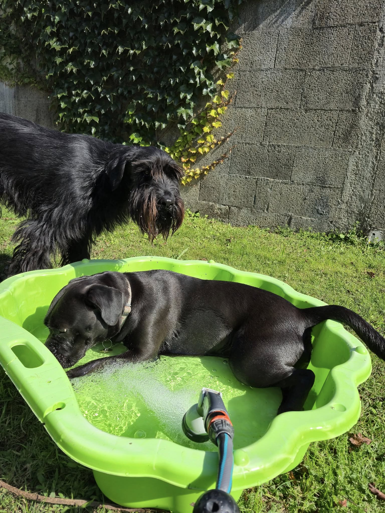 555965839 122135097098919200 4661108449086652908 N